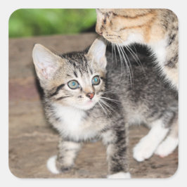 子天 スクエアシール