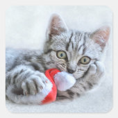 子天 スクエアシール (正面)