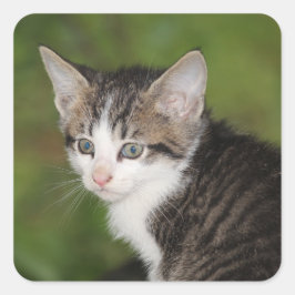 子天 スクエアシール