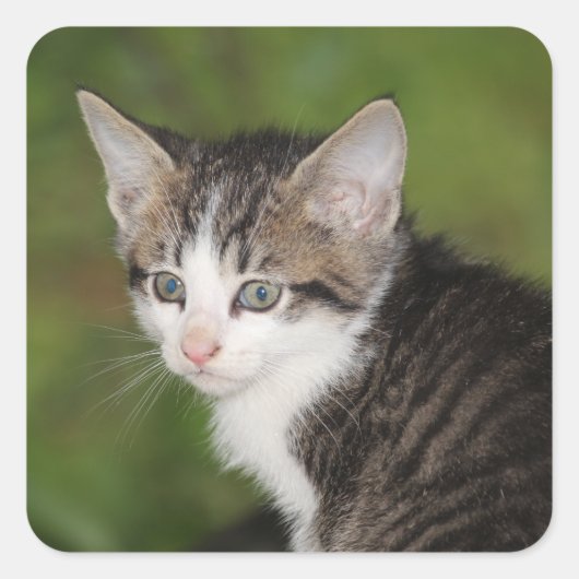 子天 スクエアシール (正面)