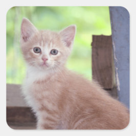 子天 スクエアシール