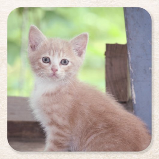 子天 スクエアペーパーコースター (正面)