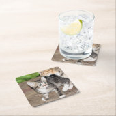 子天 スクエアペーパーコースター (インサイチュ)