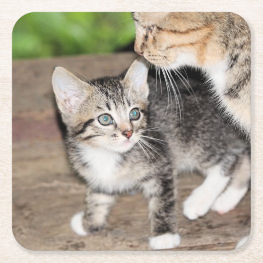 子天 スクエアペーパーコースター (正面)