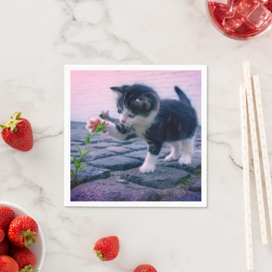 子天 スタンダードカクテルナプキン (インサイチュ)