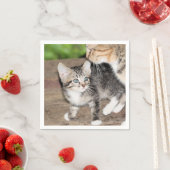 子天 スタンダードカクテルナプキン (インサイチュ)