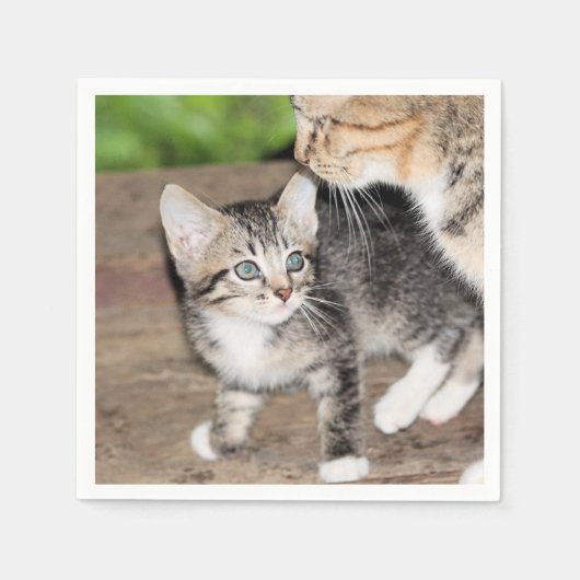 子天 スタンダードカクテルナプキン (正面)