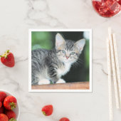 子天 スタンダードカクテルナプキン (インサイチュ)