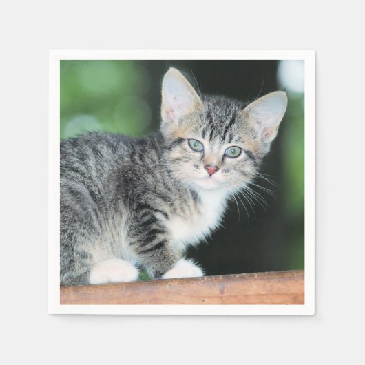 子天 スタンダードカクテルナプキン (正面)