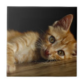 子天 タイル (正面)