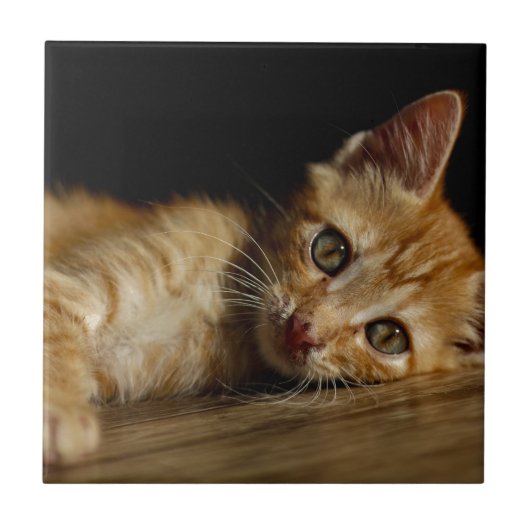 子天 タイル (正面)