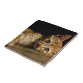 子天 タイル (側面)