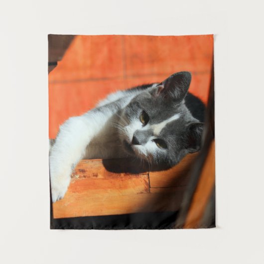 子天 タペストリー (正面)