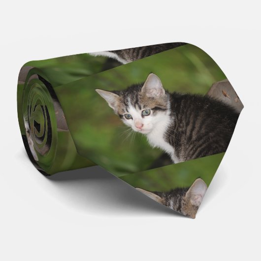 子天 ネクタイ (ロール)