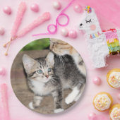 子天 ペーパープレート (パーティー)