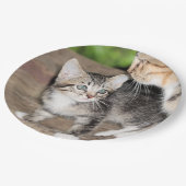 子天 ペーパープレート (アングル)