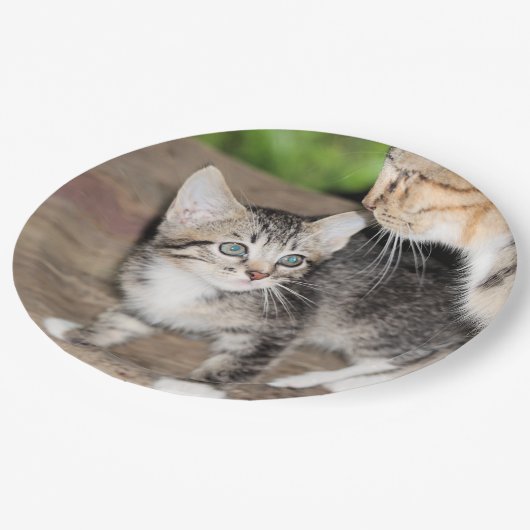 子天 ペーパープレート (アングル)