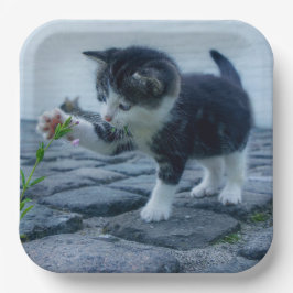 子天 ペーパープレート