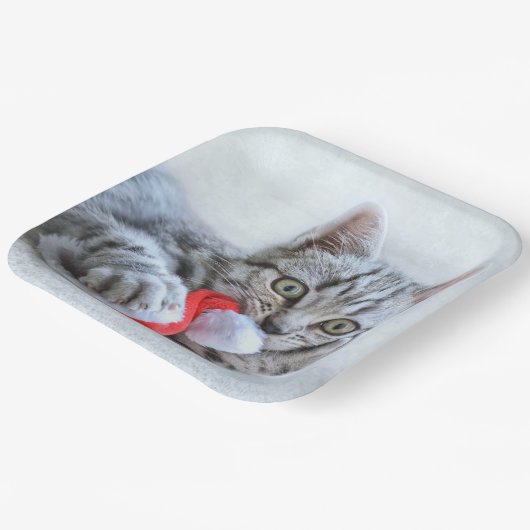 子天 ペーパープレート (傾斜あり)