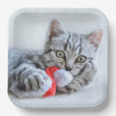 子天 ペーパープレート (正面)