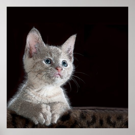 子天 ポスター (正面)