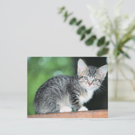 子天 ポストカード (スタンド正面)