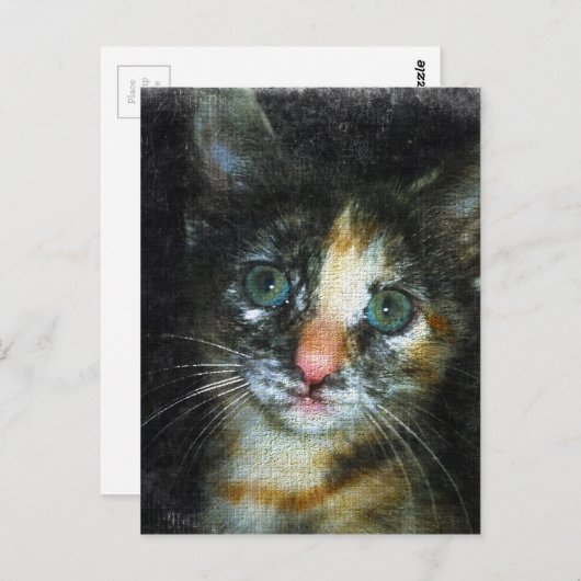 子天 ポストカード (正面/裏面)