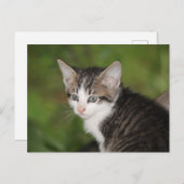 子天 ポストカード (正面/裏面)