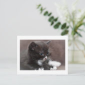 子天 ポストカード (スタンド正面)