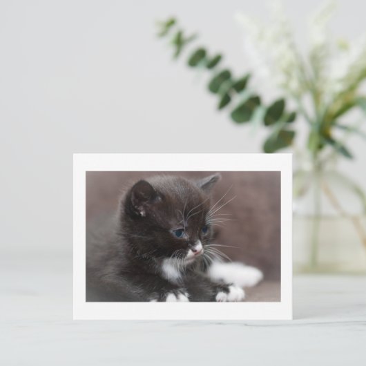 子天 ポストカード (スタンド正面)