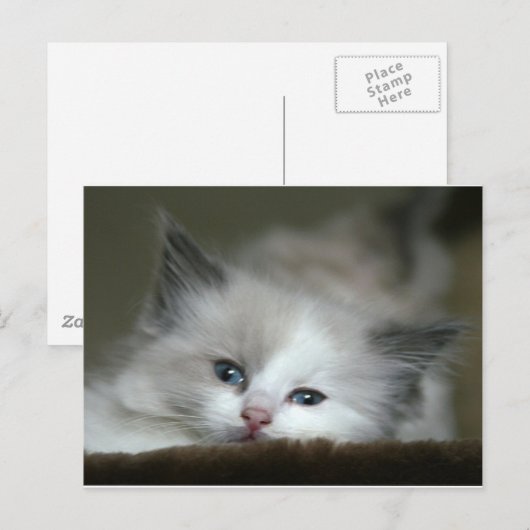 子天 ポストカード (正面/裏面)