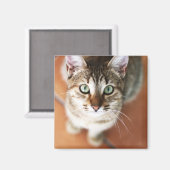 子天 マグネット (正面/裏面)