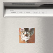 子天 マグネット (インサイチュ (食洗機))