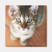 子天 マグネット (正面)