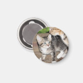 子天 マグネット (正面/裏面)