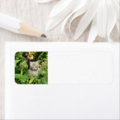 子天 ラベル (インサイチュ)