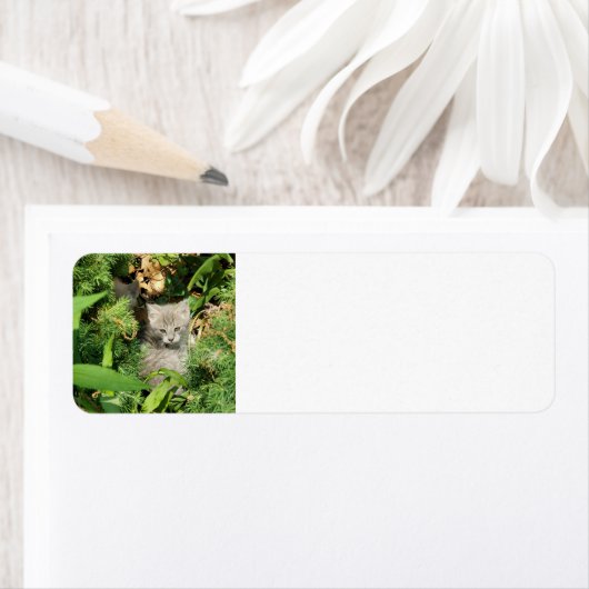 子天 ラベル (インサイチュ)