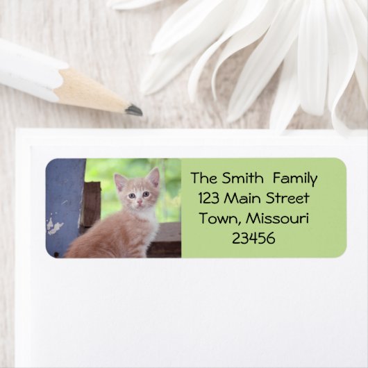 子天 ラベル (インサイチュ)