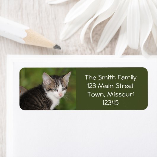 子天 ラベル (インサイチュ)