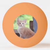 子天 卓球ボール (裏面)