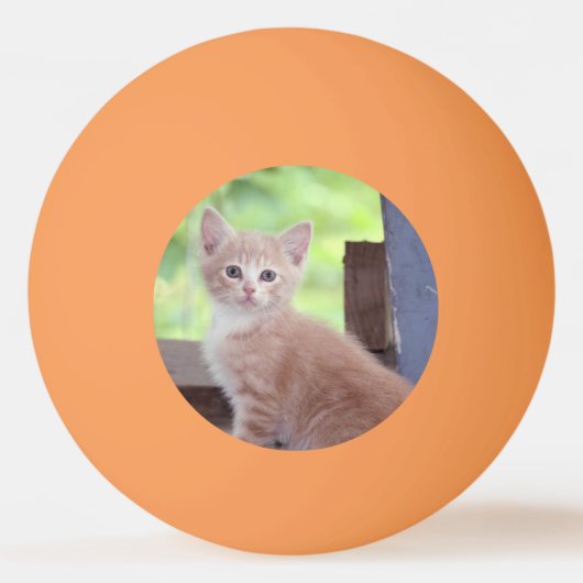 子天 卓球ボール (裏面)