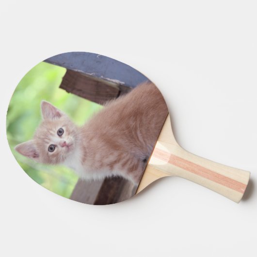 子天 卓球ラケット (横)