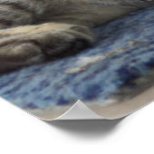 子威厳のある天 ポスター (角)