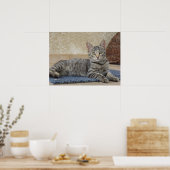 子威厳のある天 ポスター (キッチン)