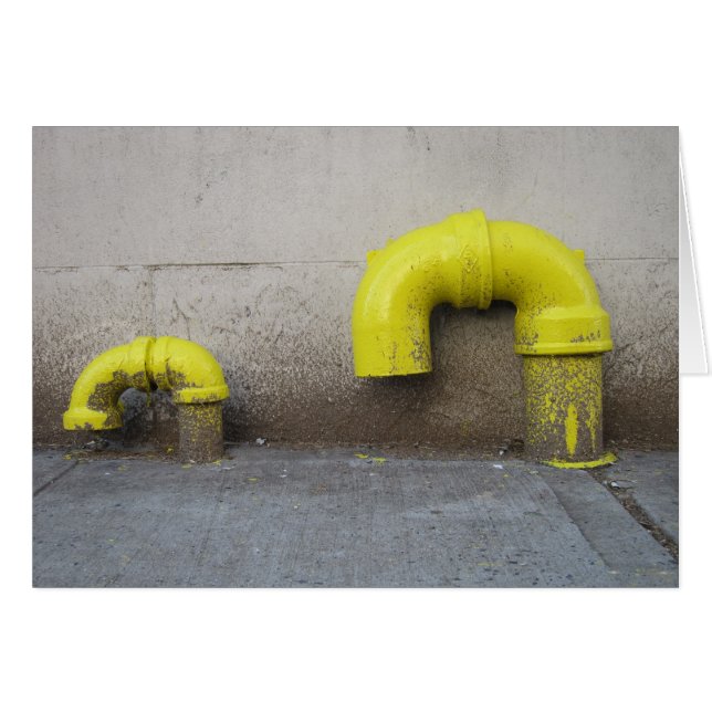 子孫5x7 (正面横)