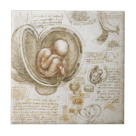 子宮の胎児のレオナルド・ダ・ヴィンチの勉強 タイル