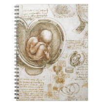 子宮の胎児のレオナルド・ダ・ヴィンチの勉強