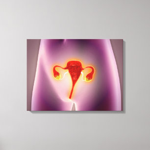 子宮を用いた女性体の解剖学 キャンバスプリント