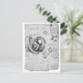 子宮内の胎児のヴィンテージの図1 ポストカード (スタンド正面)