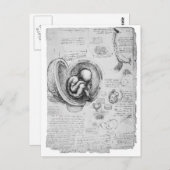 子宮内の胎児のヴィンテージの図1 ポストカード (正面/裏面)